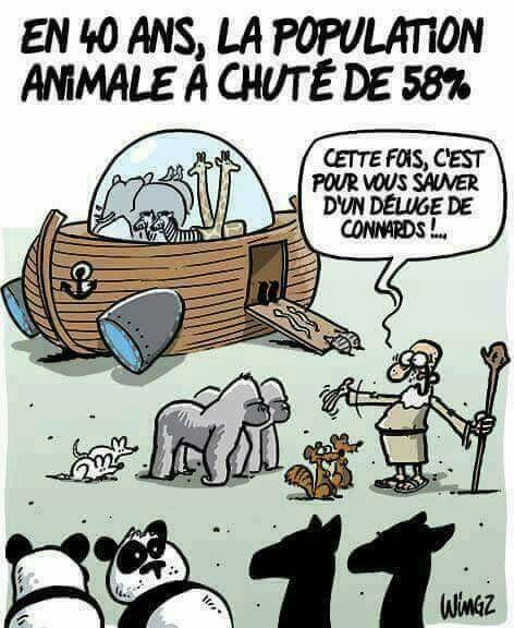ChasseAbolition's tweet photo. Dommage que ce ne soit pas la population de chasseurs .... https://t.co/nwXnSX5sjz