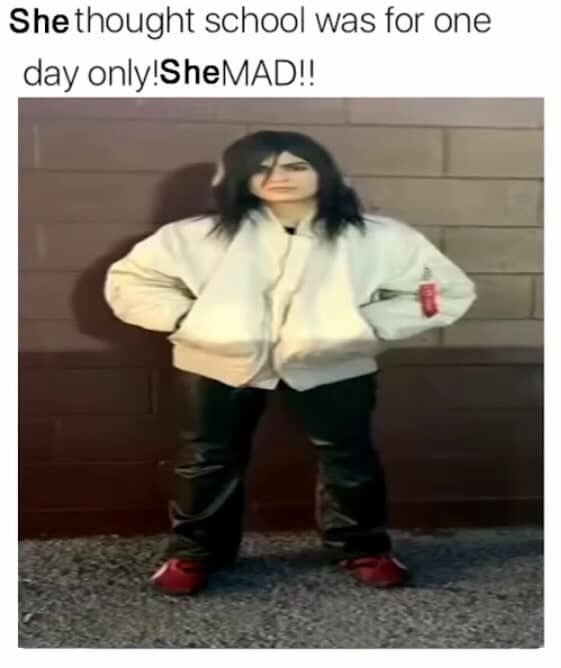el 𝄞 ¹² tweet media