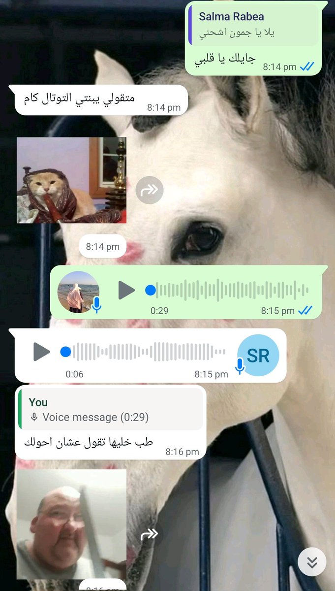 صحابي بيتحايلو عليا علشان اقولهم سعر الاوردر😭😭