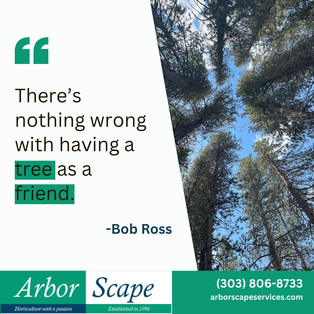 ArborScape's tweet photo. Trees are our friends! Get outside and thank your closest tree 🌳 for all it does to sustain our planet 🌎

#loveatreeday #lovetrees #treehugger #savethetrees https://t.co/EltjUkz9Ms