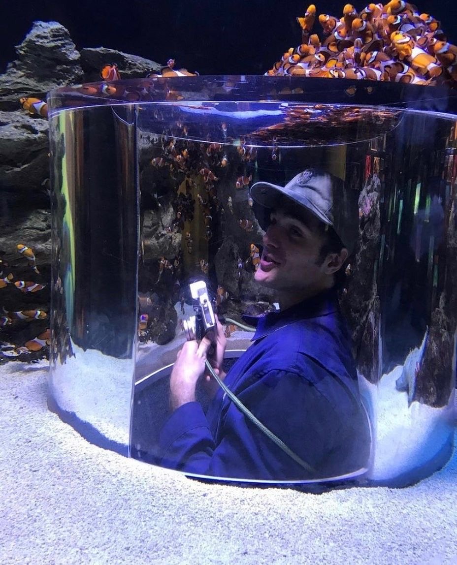 nowis33daylight's tweet photo. sorry i wasn’t listening, i was thinking about jacob elordi taking photos of the fish at the aquarium https://t.co/m2JejqcAfu