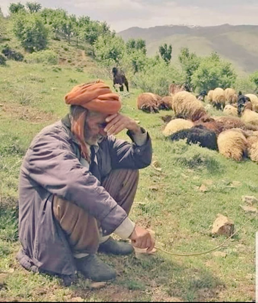 نور برقانا tweet media