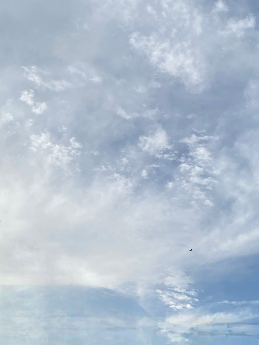lightseekerusha's tweet photo. Clouds scatter like half-written thoughts across the sky.
A lone bird drifts through them—
not rushing anywhere, just belonging to the wind for a while.
Maybe freedom is this quiet surrender.
#SkyNotes #QuietFreedom #OpenSky #NatureDiary https://t.co/VOeupZhzgl