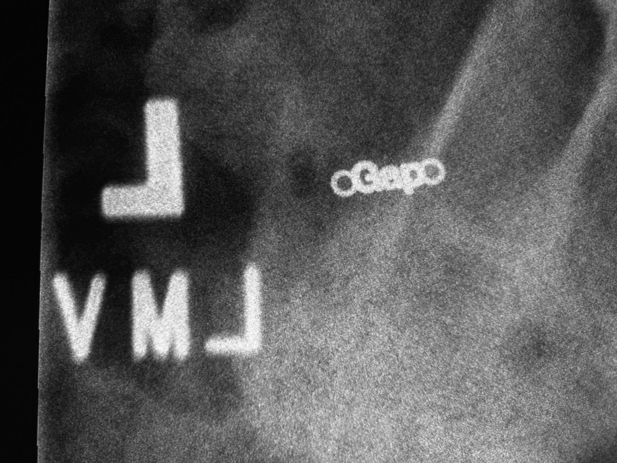 🟧 tweet media