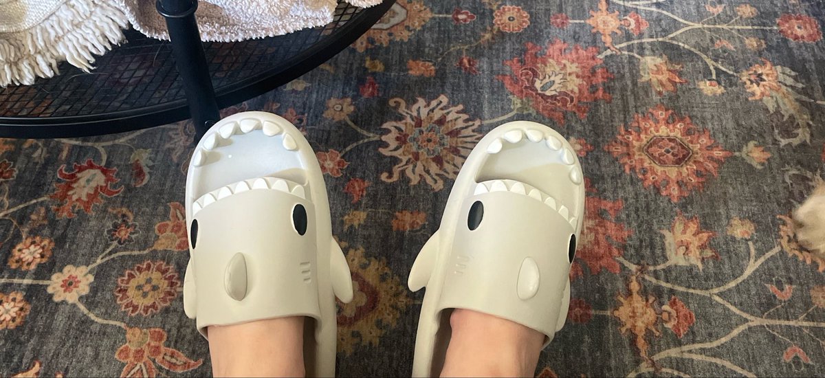 xdincaity's tweet photo. mom didn’t like my shark slippers https://t.co/7nzwXh6Eer