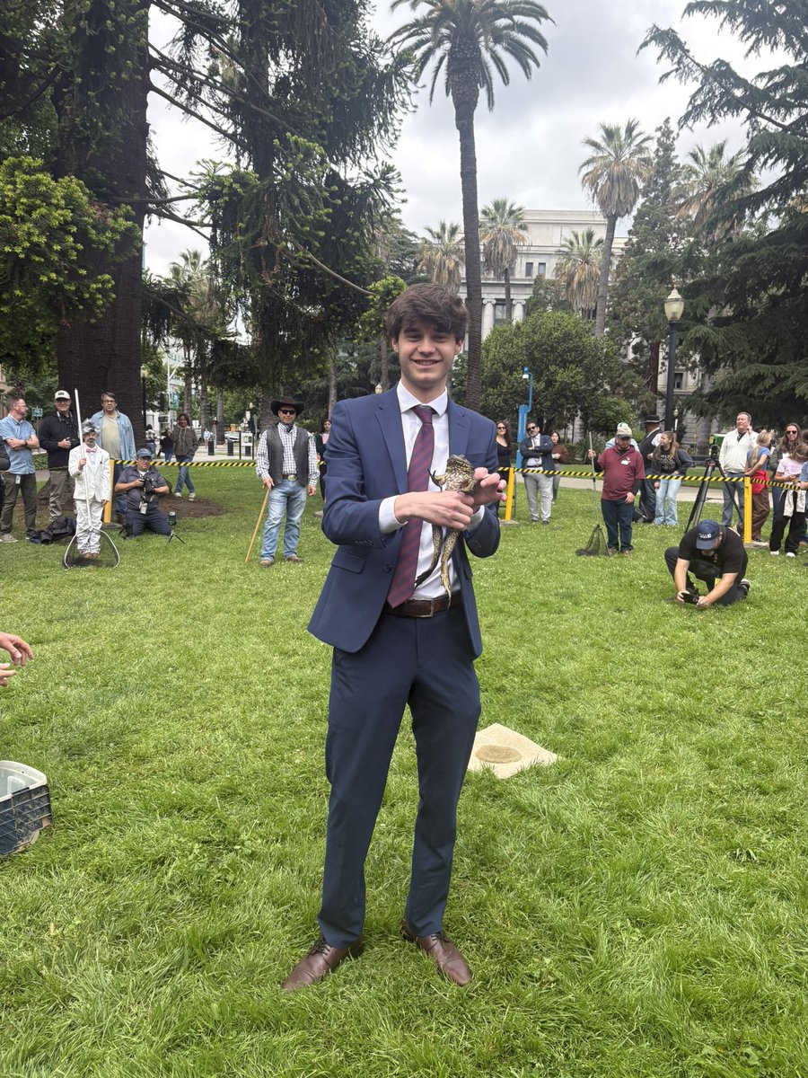 SenOchoaBogh's tweet photo. What a great day at the #CapitolFrogJump! 🐸
Our Senate Fellow Myles proudly represented #TeamOchoaBogh at this fun tradition hosted by @AlvaradoGilSD4. Our frog, Forrest Jump, leaped into action as we cheered him on. Proud of Myles for jumping in & being part of the excitement! https://t.co/KkU6A9Slp9