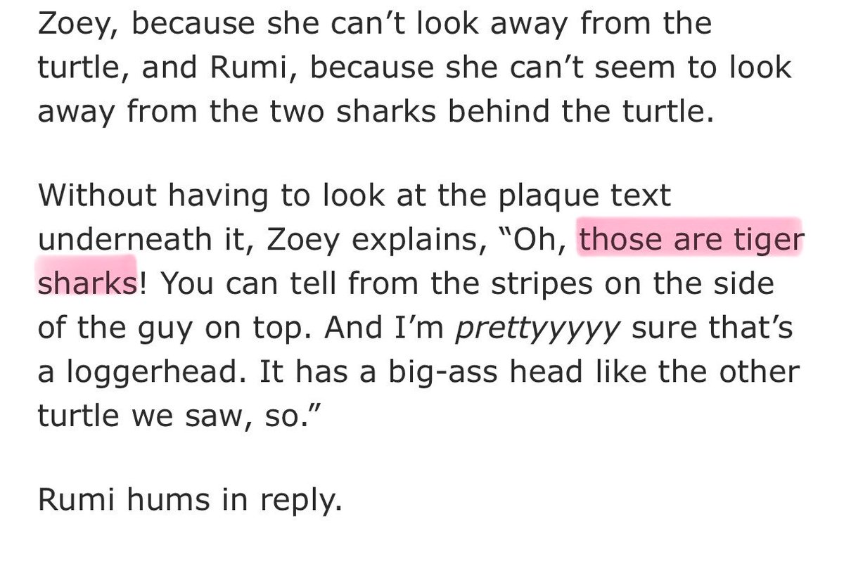 TIGER SHARK NAMED WHO❓❓❓❓