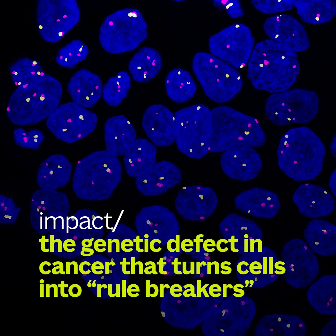allen institute tweet media