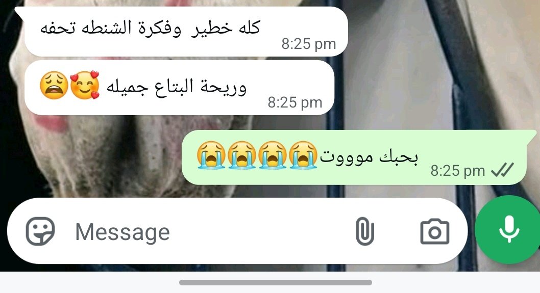حاسه اني هطير من الفرحه😭😭😭
مش عايزين تاخدو توت باج مع الاوردر🤨