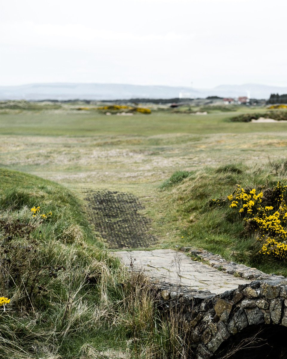 Western Gailes Golf Club tweet media