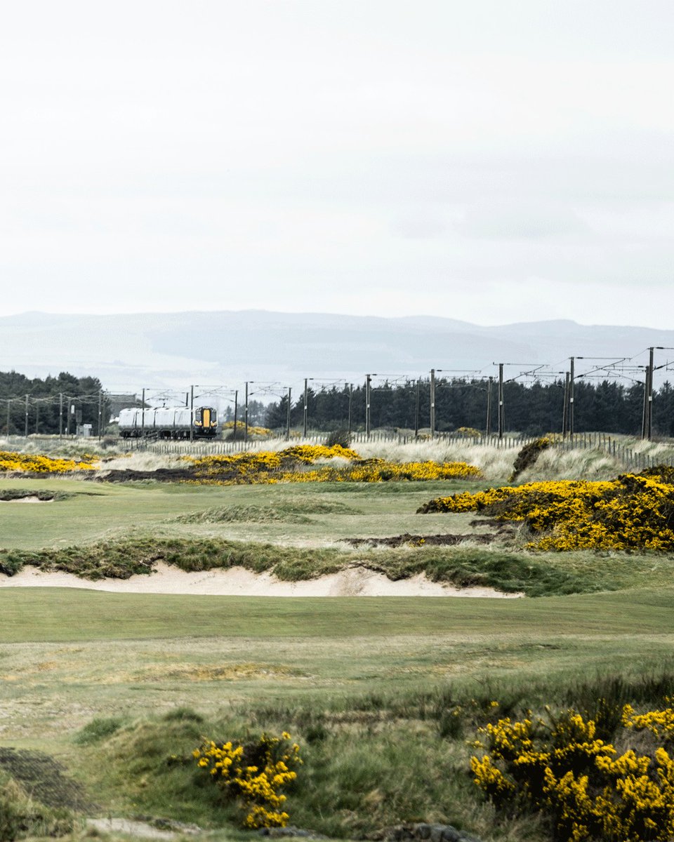 Western Gailes Golf Club tweet media