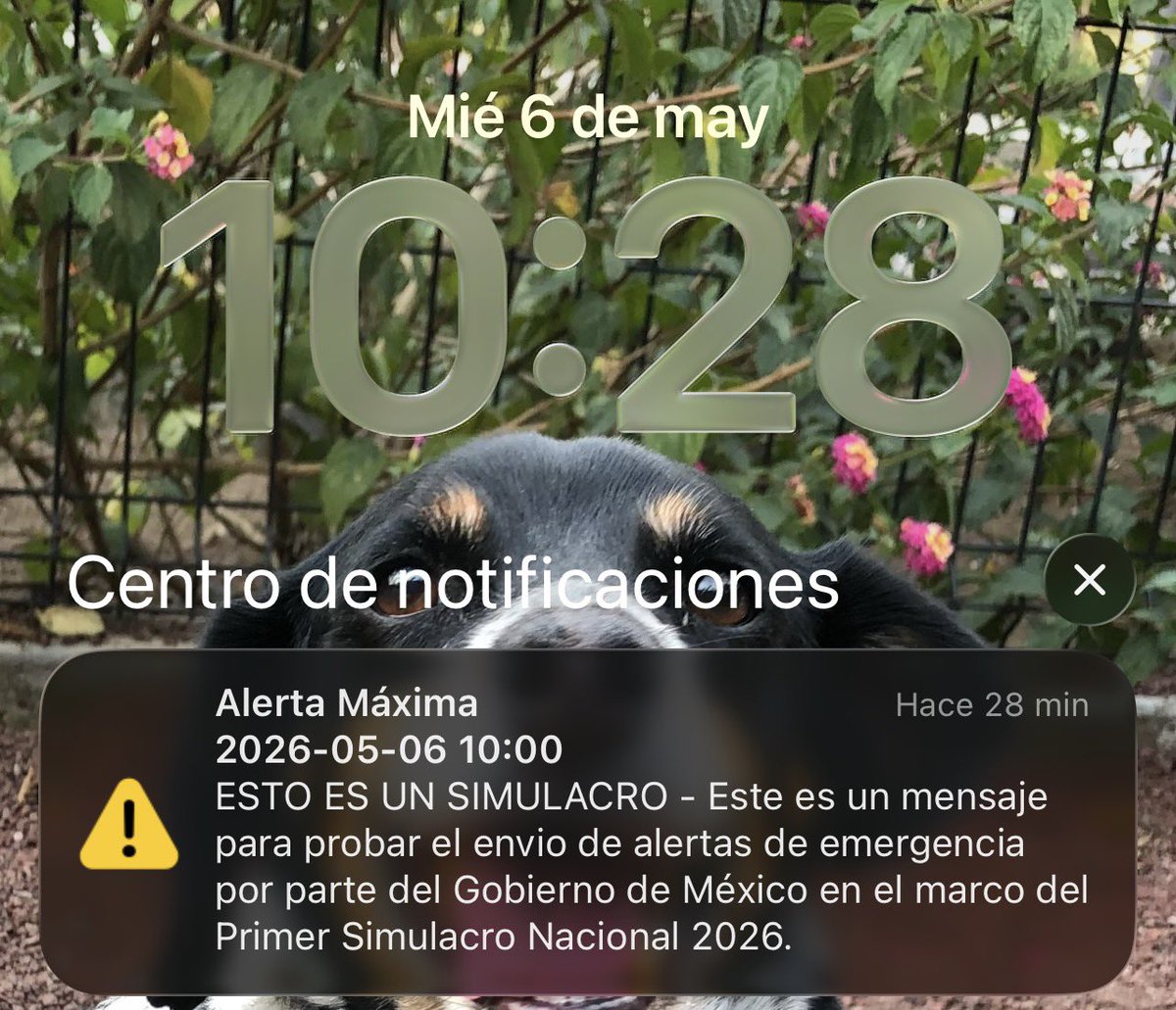 vandomlom's tweet photo. @SkyAlertMx Casi se me sale el corazón con la alarma 😭😭😭 https://t.co/0u5VR7930V