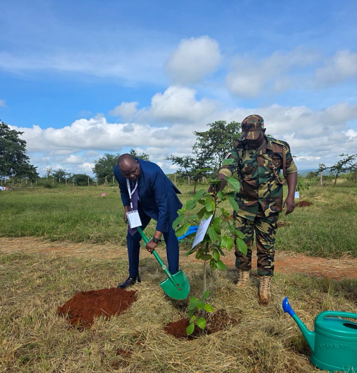 Kenya Forest Service tweet media