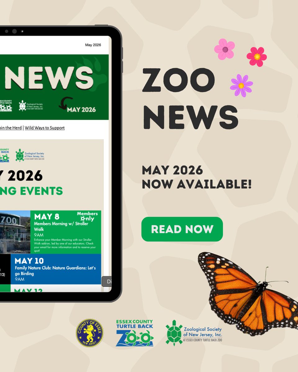 Turtle Back Zoo tweet media