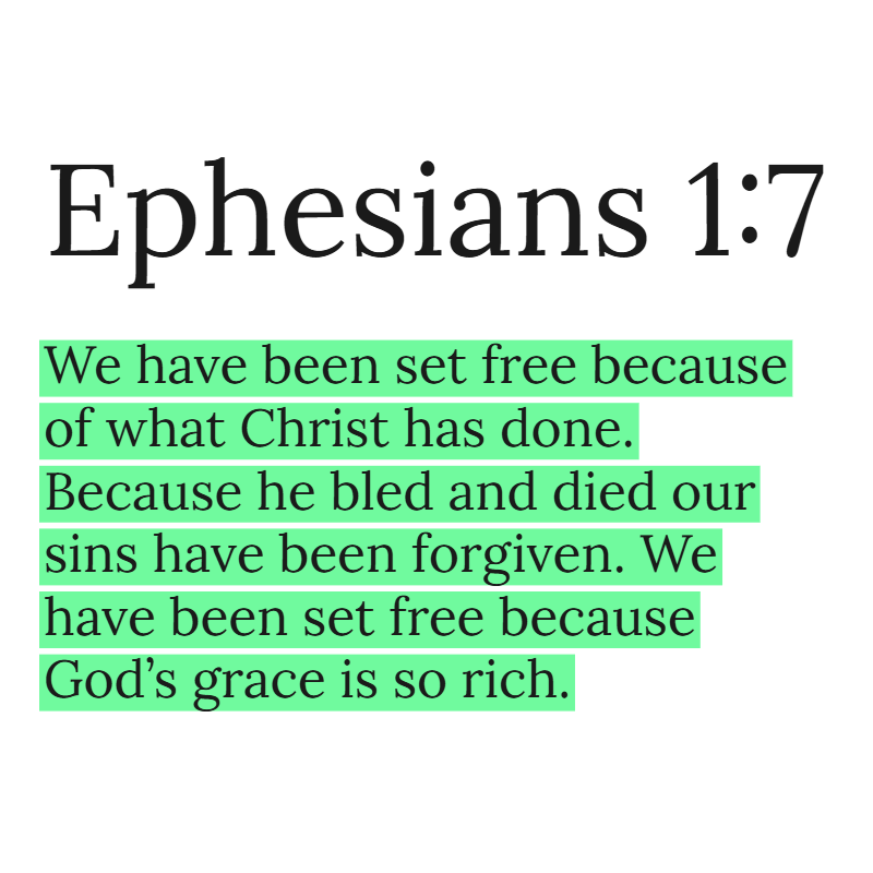 Holy Bible tweet media
