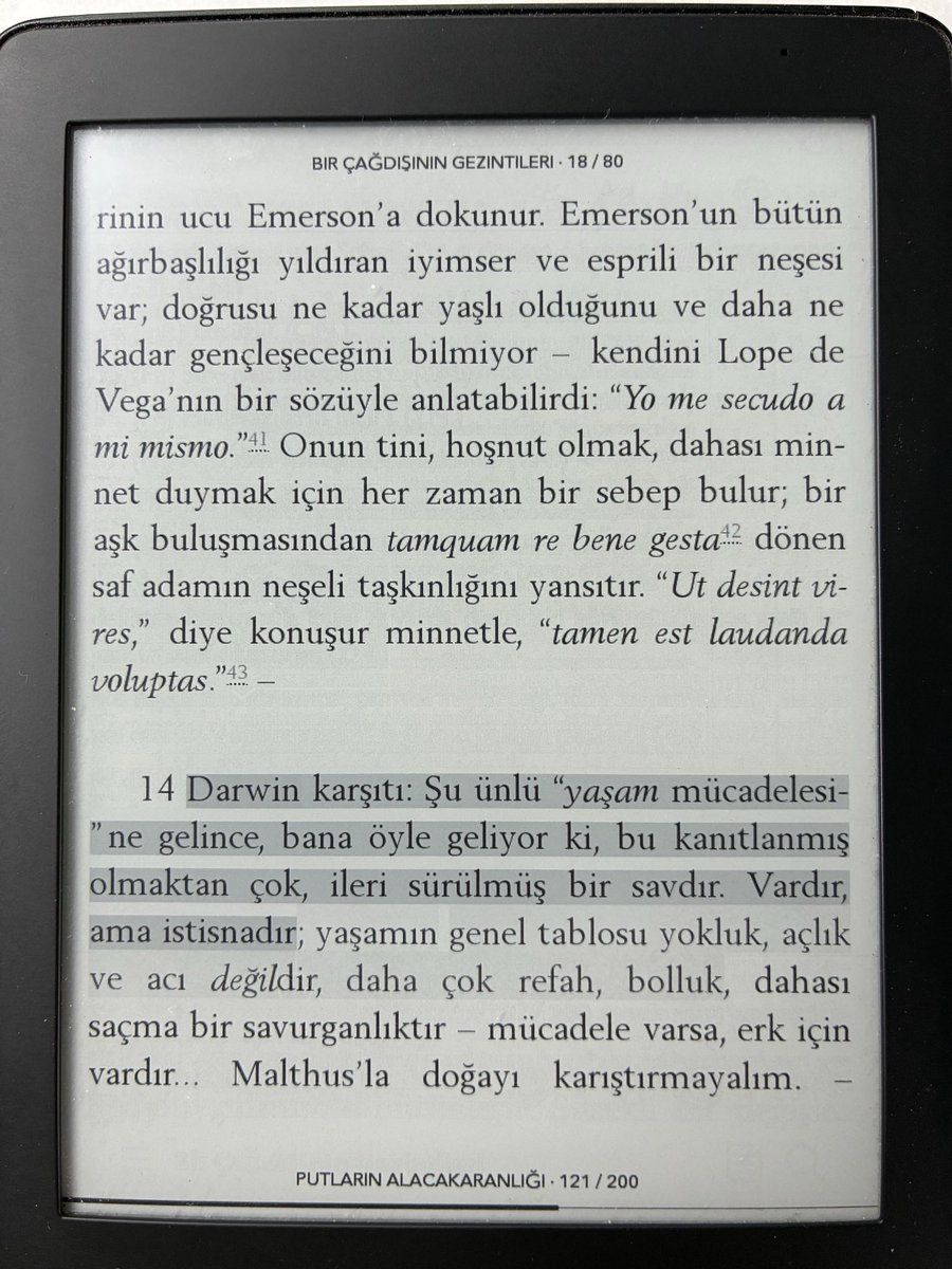 Kerim tweet media