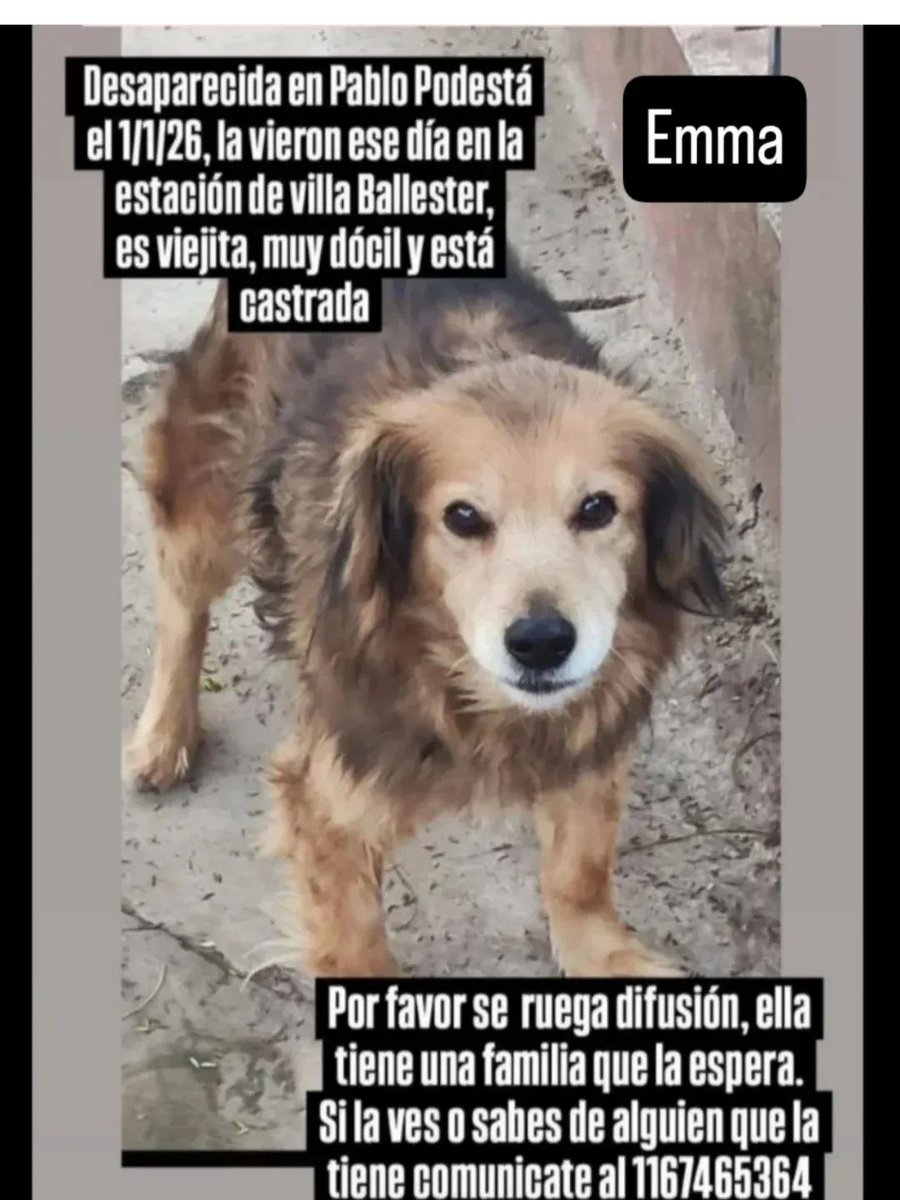 Siguen buscando desesperadamente a Emma, me ayudan a difundir?
