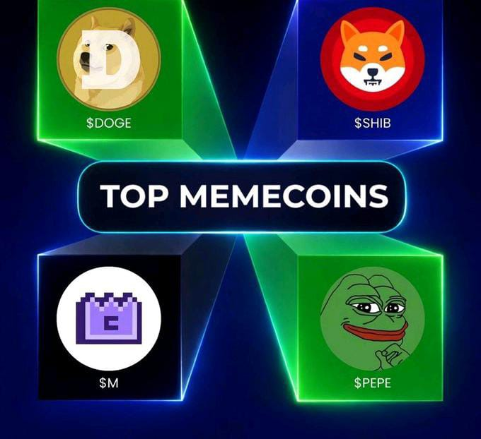 1000xgirl tweet media