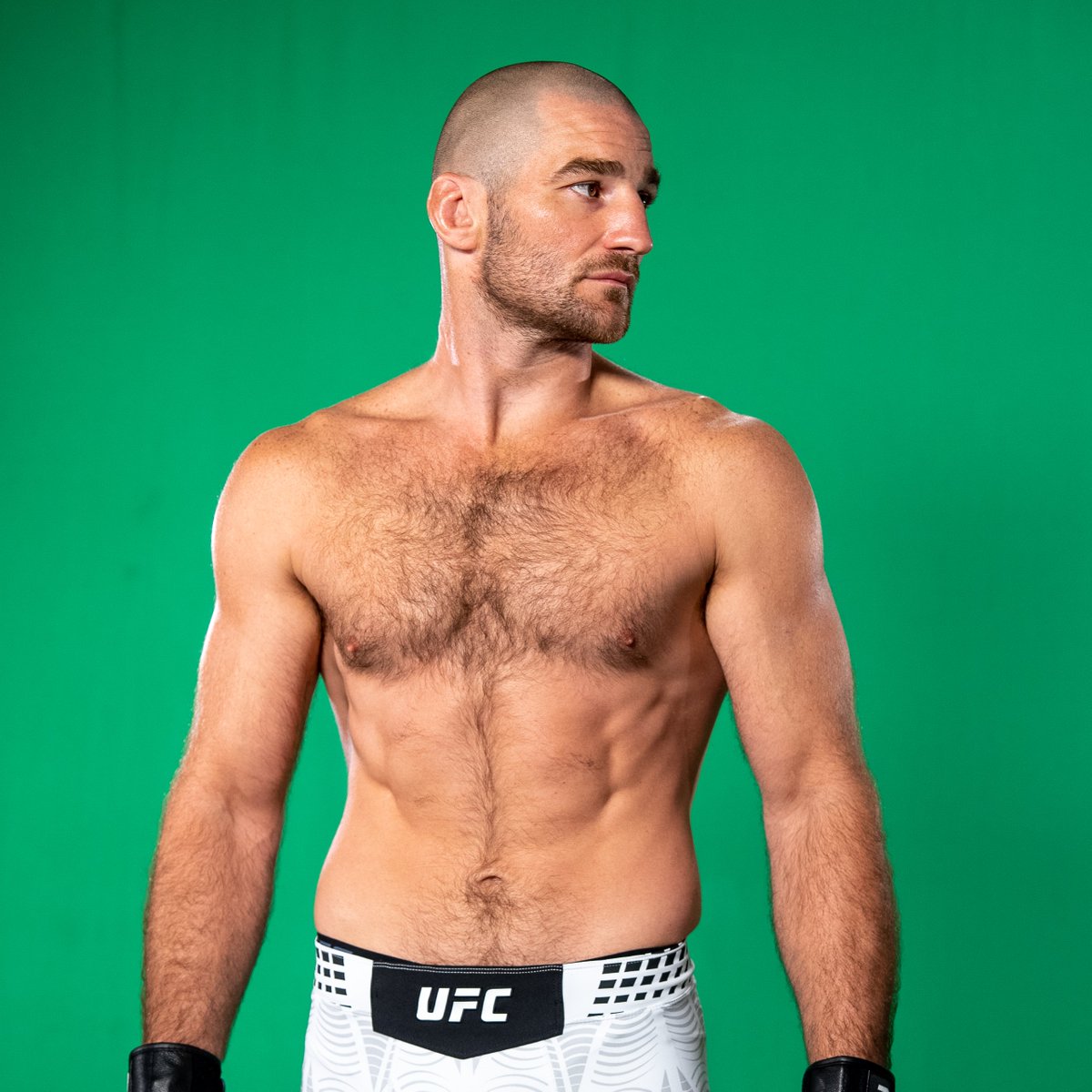 UFC tweet media