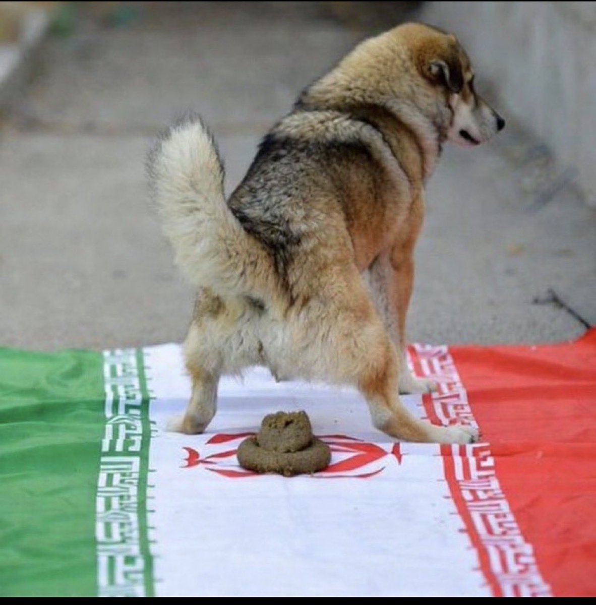 Cyberwarzonecom's tweet photo. @Tarikh_Eran https://t.co/VlrBUZQje8