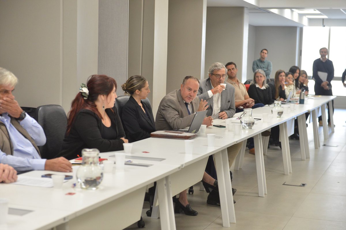 Senadores Cambia Mendoza tweet media