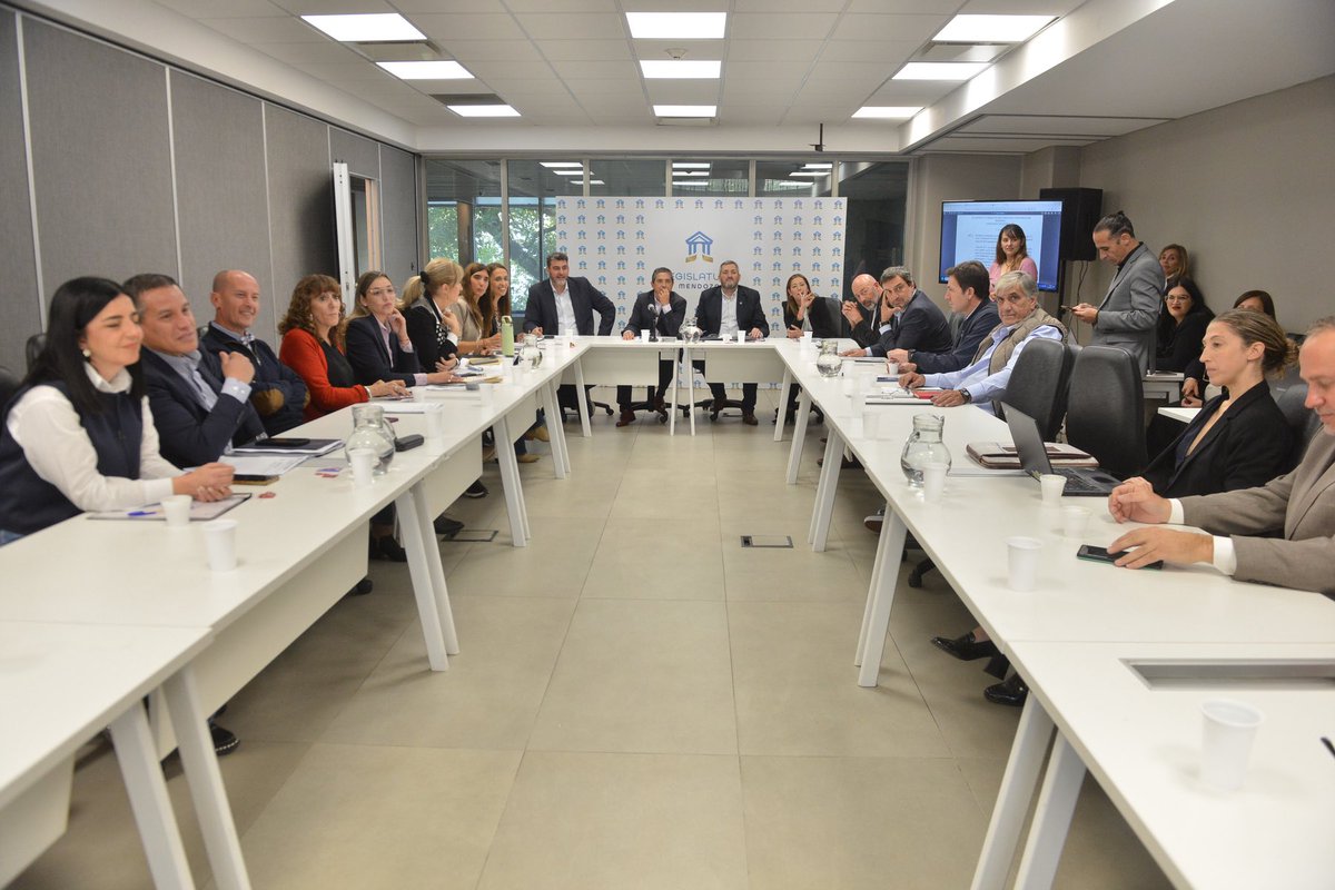 Senadores Cambia Mendoza tweet media