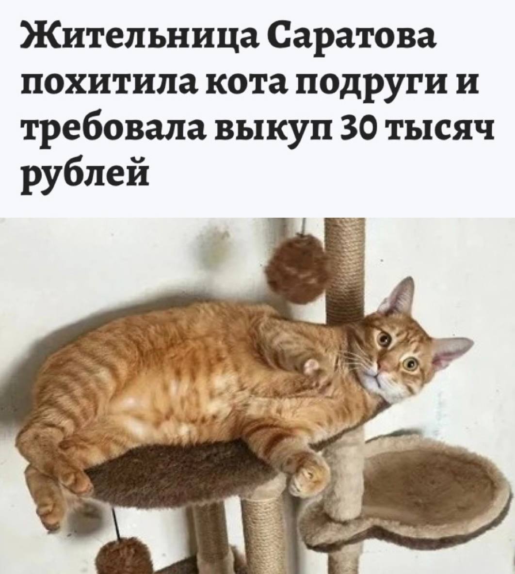 Что-то Дроздова <a href="/derella9/">Елена Дроздова</a>  давно не появлялась 🤔