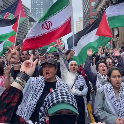 Vivid.🇮🇱 tweet media