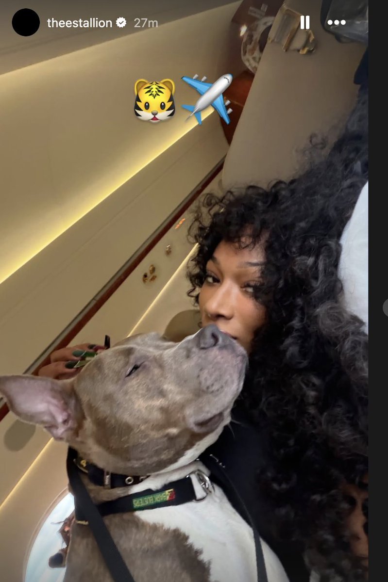 Megan Pete <a href="/theestallion/">TINA SNOW</a> is on her way home with Tyger, her rescue dog from the #NYCACC NYC ACC shelter—saved by <a href="/MiracleLnResq/">Miracle Lane</a> and adopted by Megan while she was in New York. ❤️

Please help a dog on this list: pledge, foster, adopt.
newhope.shelterbuddy.com/Animal/List?An…
Thank you.
RT