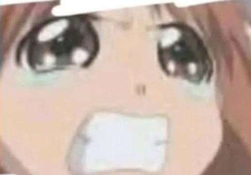 KatMissk4tt666's tweet photo. I need a feeder so bad bro https://t.co/HDrypZFpdW