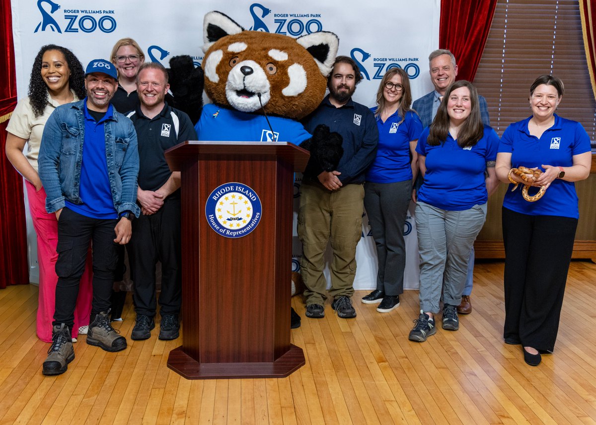 RIHouseofReps's tweet photo. It was a WILD day at the State House today, with special visitors from the @RWPZoo on hand, along with Zoo Executive Director Stacey Johnson, who shared updates about one of Rhode Island's top attractions.

The animal ambassadors in attendance included a corn snake, skunk (de-scented, thankfully), box turtle, and red-tailed hawk.

The Zoo is home to over 130 species from around the world, and is visited by more than 700,000 people every year.

The event can be viewed online: https://t.co/ixBevFU30q
