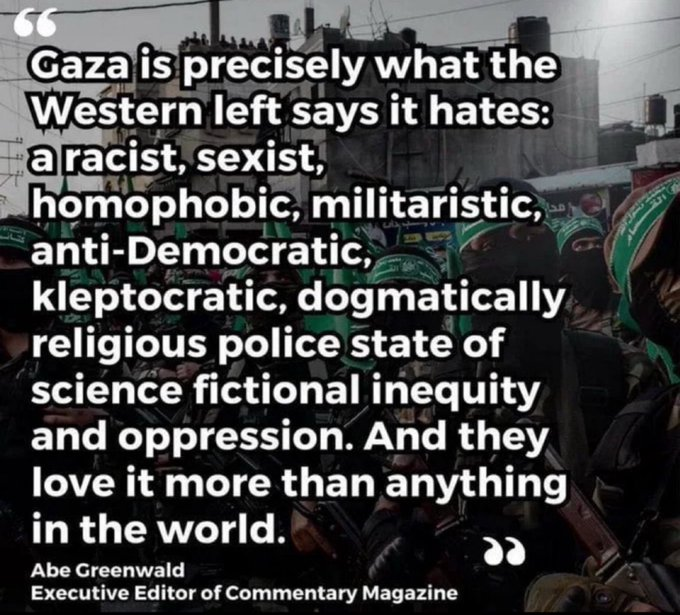Vivid.🇮🇱 tweet media