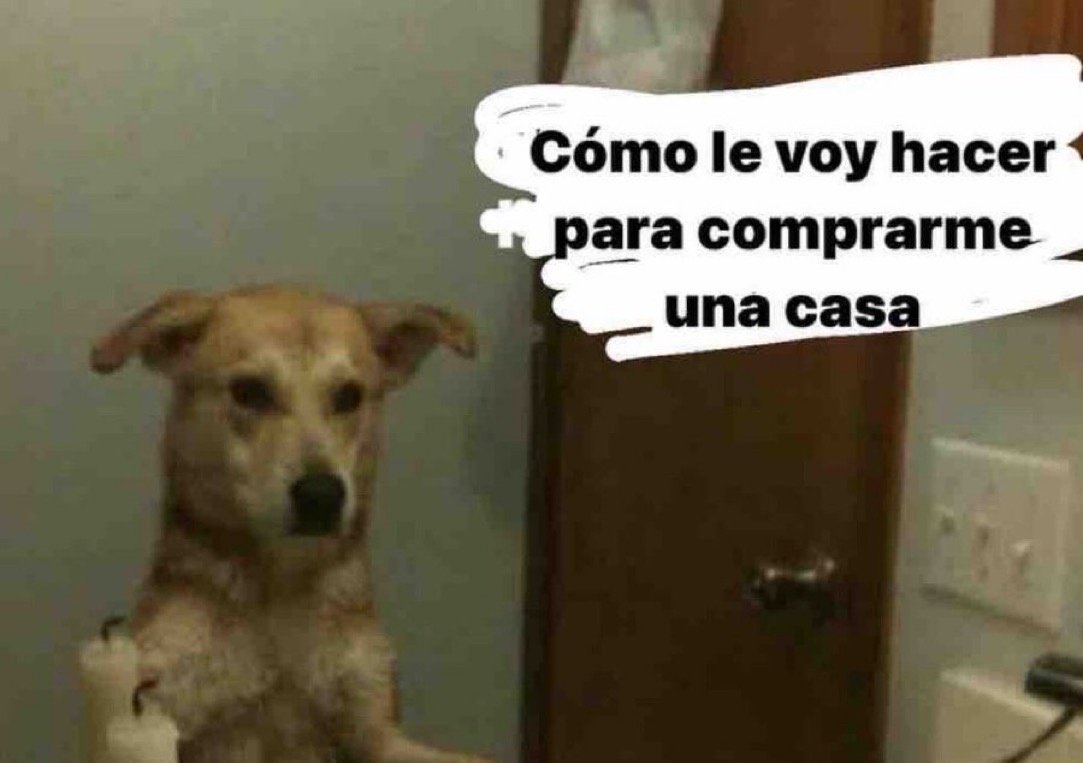 Mi pensamiento diario: