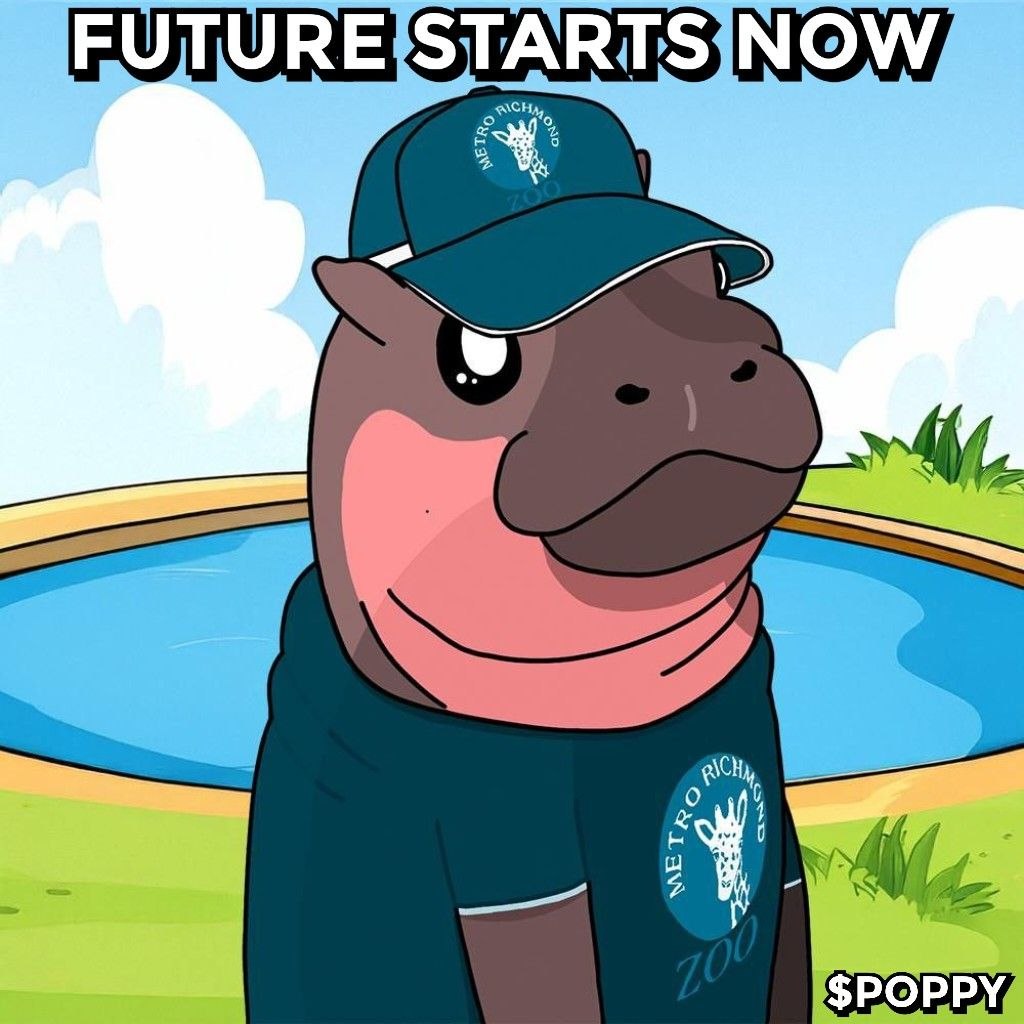 Poppy The Pygmy Hippo 🇺🇸 🦛 🌺 tweet media