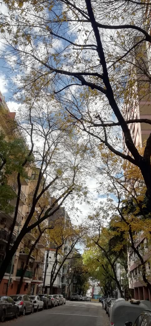 Iba a llover hoy todo el día y también mañana. Destruyeron el Servicio Meteorológico, por lo que no es posible saber ni prever el clima. Difícil hacerse el boludo ¿no?