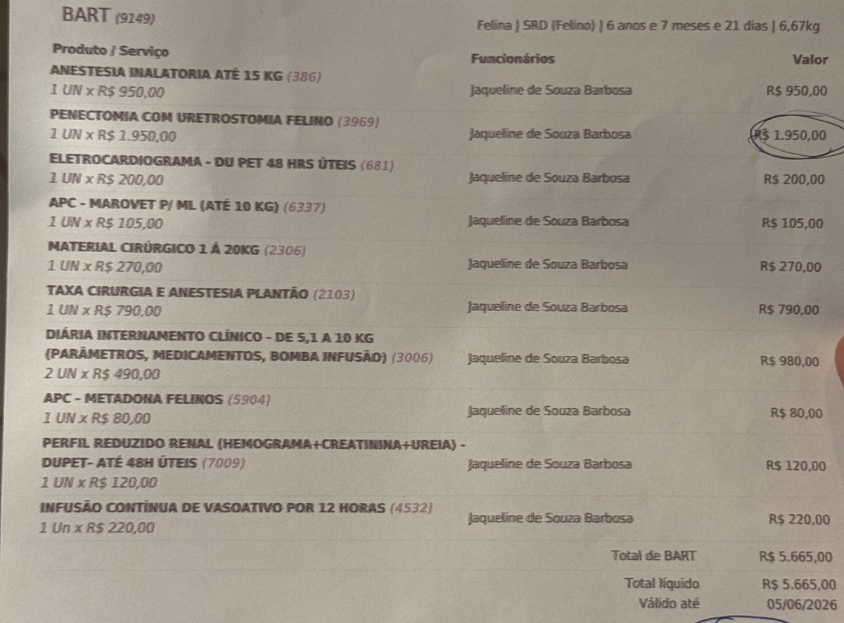 Salve,

Ontem Bart, meu gatinho, estava sentindo um desconforto muito grande e precisei correr com ele pro veterinário, depois de um dia internado e fazendo exames ele vai precisar passar por uma cirurgia. 

Os custos da internação são altos e da cirurgia mais ainda, já tivemos