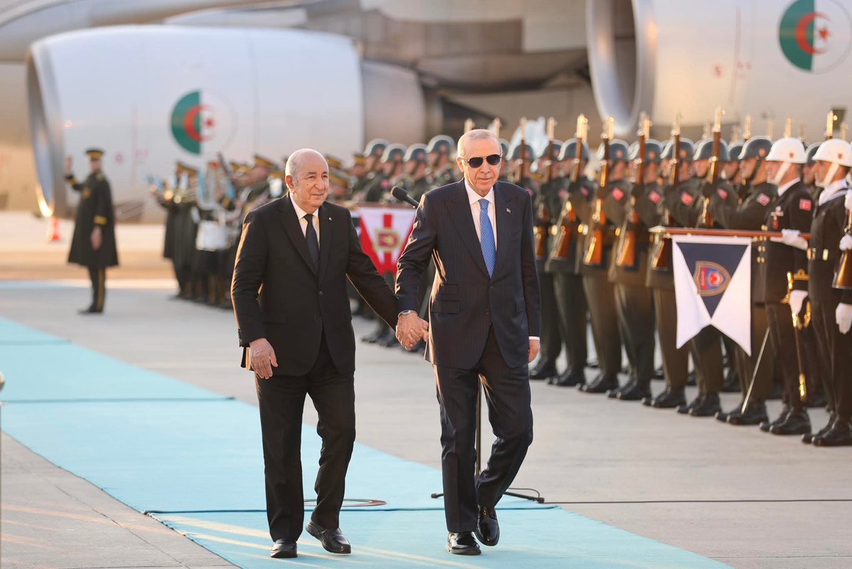 حميد المهداوي 🇲🇦 tweet media