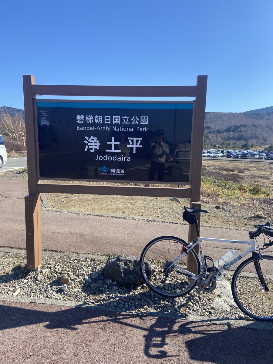 酔猫庵 tweet media