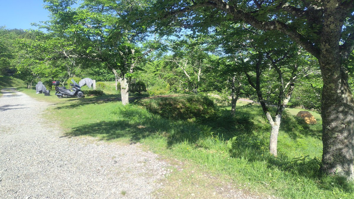 boobystance's tweet photo. 豊岡市大師山自然公園キャンプ場
予約不要の無料キャンプ場。綺麗だし湿気も多くないし、とても良い。
前来た時は人が多すぎて退散したことも。
今日は空いてて良かった。

真っ先に朝日の差す場所を見極めてテントを立てる俺��
上級者感あるな、とほくそ笑む
#山陰ツーリング https://t.co/2yWcdjyfGw