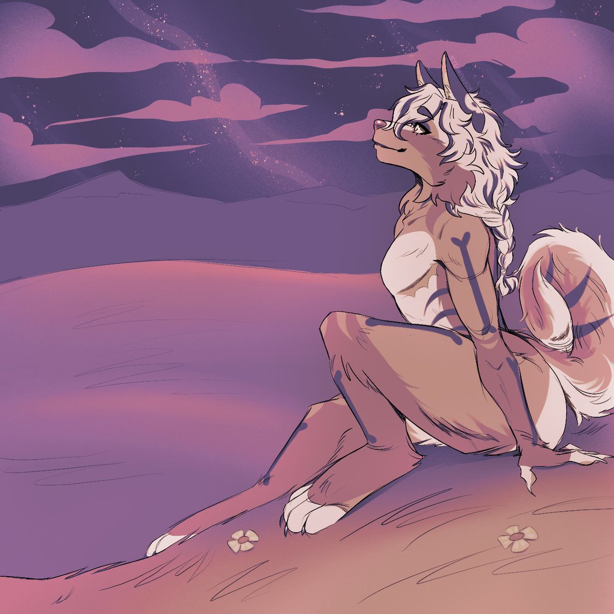 Ashe Dawn tweet media