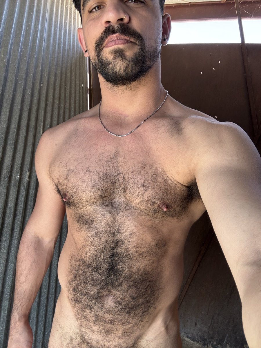 Bruno Rex tweet media