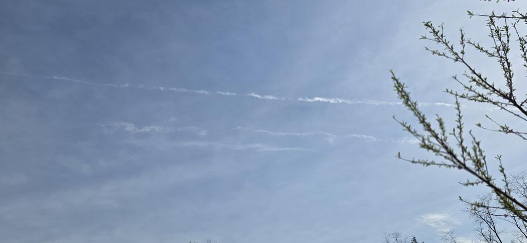 CatFin45's tweet photo. @epaleezeldin It's wild they spray shit in the sky to kill us and no one does anything to stop them @epaleezeldin https://t.co/XlXx7eC22d