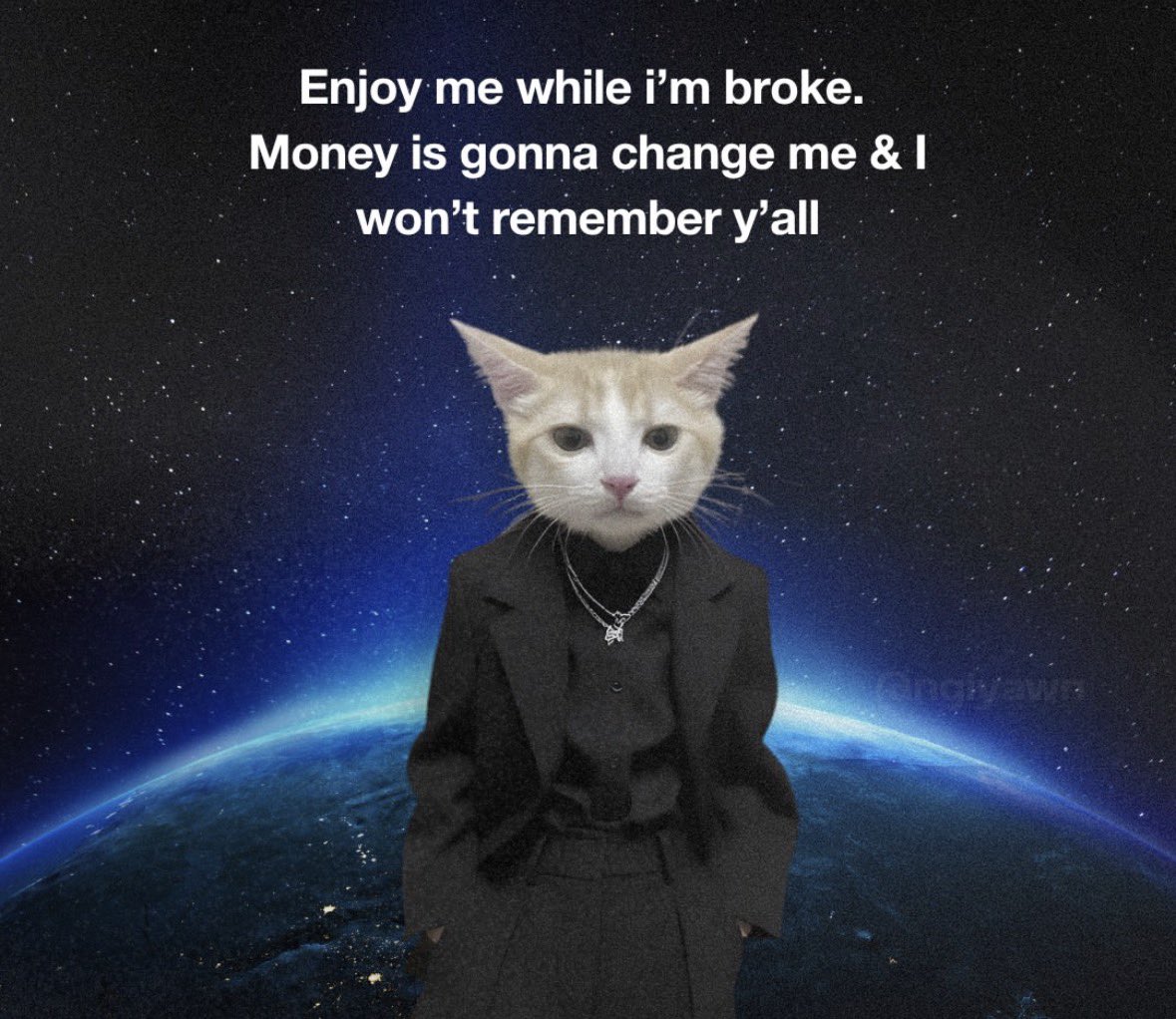 LiterallyMeCats tweet media