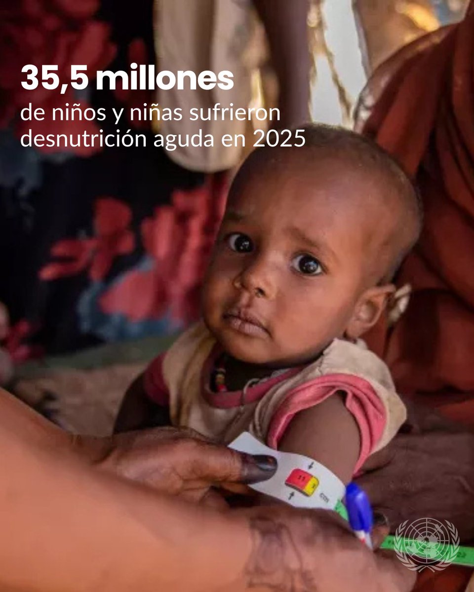 Naciones Unidas tweet media