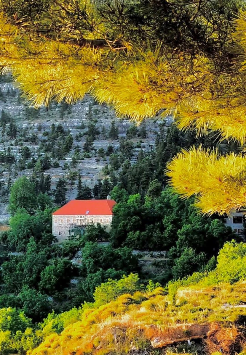 MacaryM's tweet photo. …  اهدن": هنا، لا شيء يُقال، وكلّ شيء يُفهم" 

 “ Ehden: Here, nothing is said, yet everything is understood.” https://t.co/0H828MVCLm