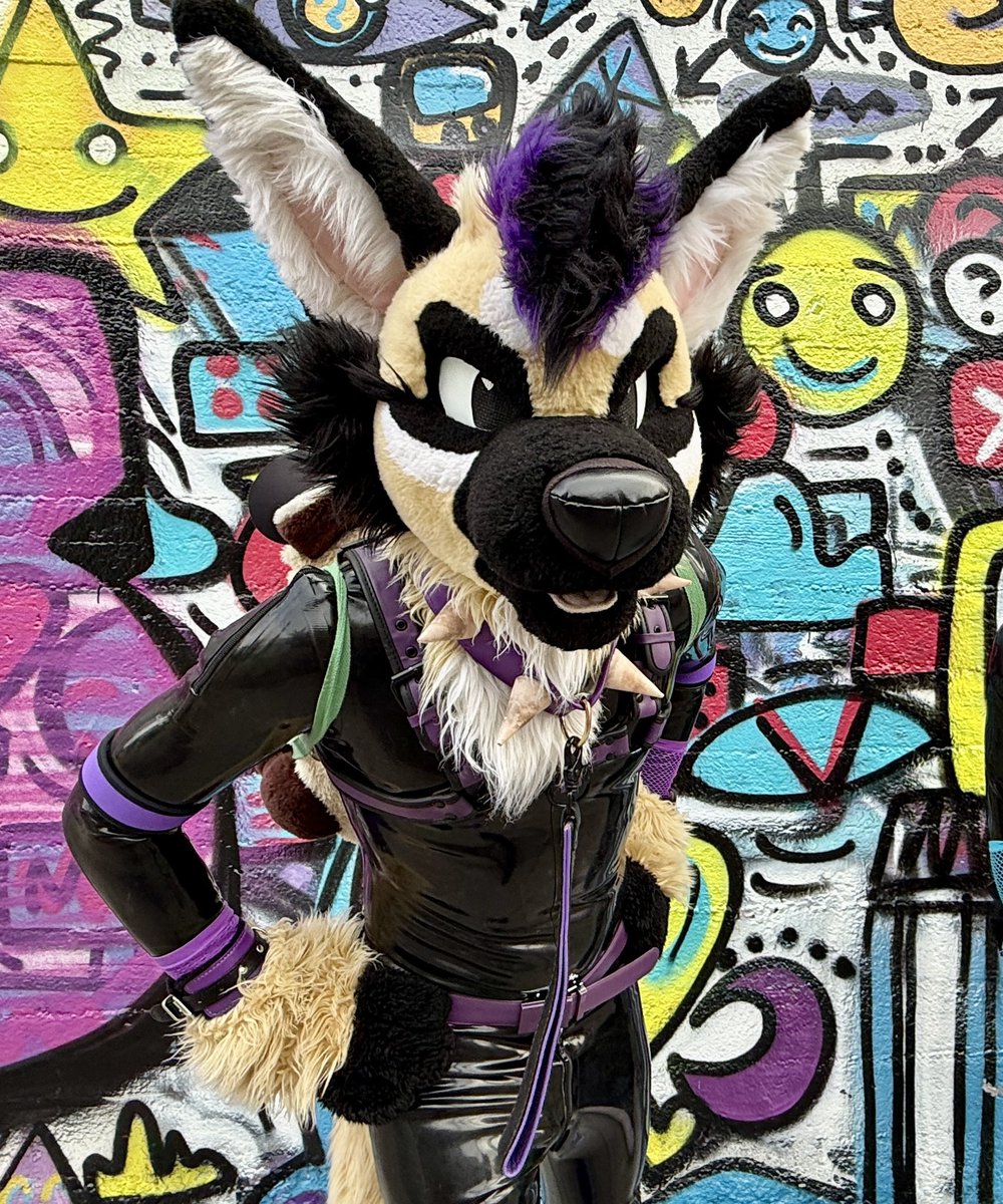 Kevlar49's tweet photo. This silly yeen is en route to #FWA2026! Woop at me if you see me, I love making new friends and reconnecting with old ones ^^ https://t.co/HEZ0fsAoav