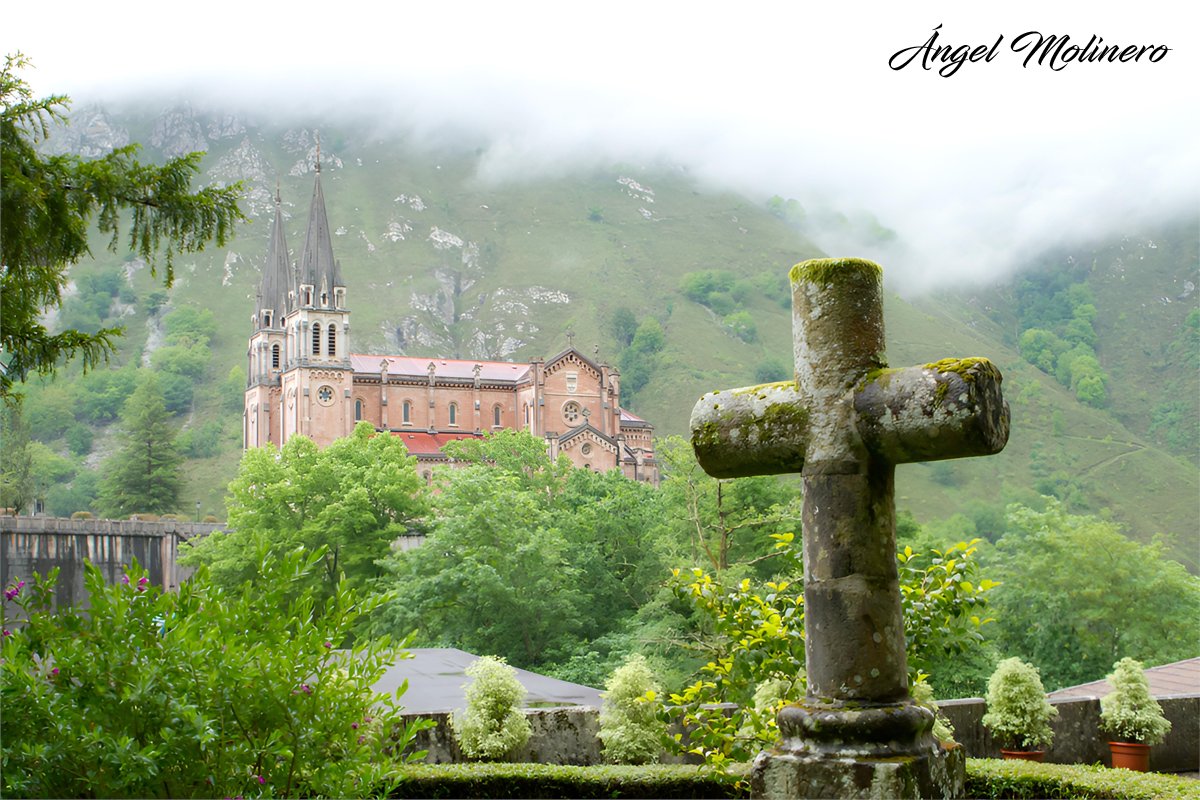 Angel_Molinero's tweet photo. Preciosa peregrinación al Santuario de Covadonga, cámara en mano, con mi querida comunidad de SPVI Móstoles. Estas jornadas de oración y convivencia en el mejor ambiente han sido un auténtico regalo para todos. @DiocesisGetafe @ArchiOviedo https://t.co/zU3Ue8O5xb