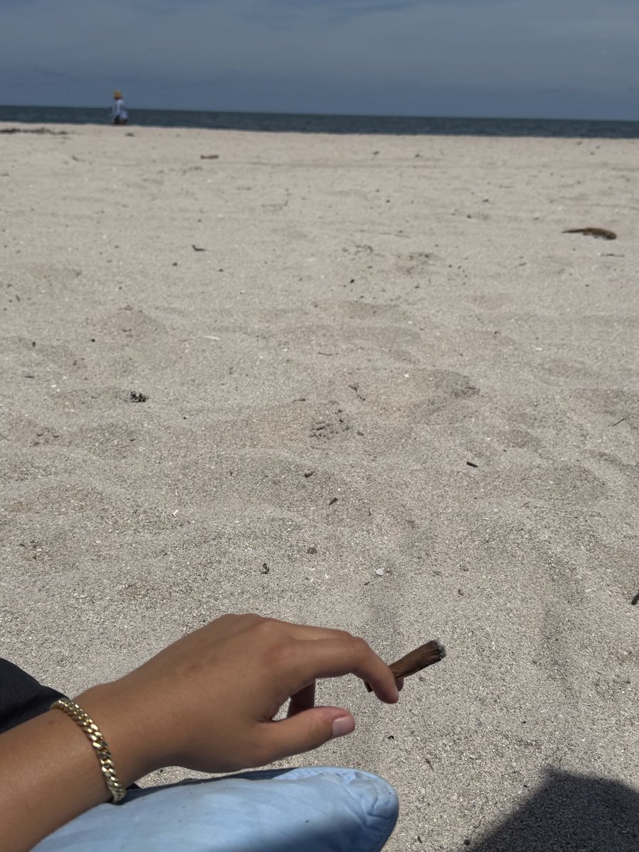 princesssafm's tweet photo. my gf and i are the obligatory latinos on the beach blasting music and smoking https://t.co/cQOj5JrLnp