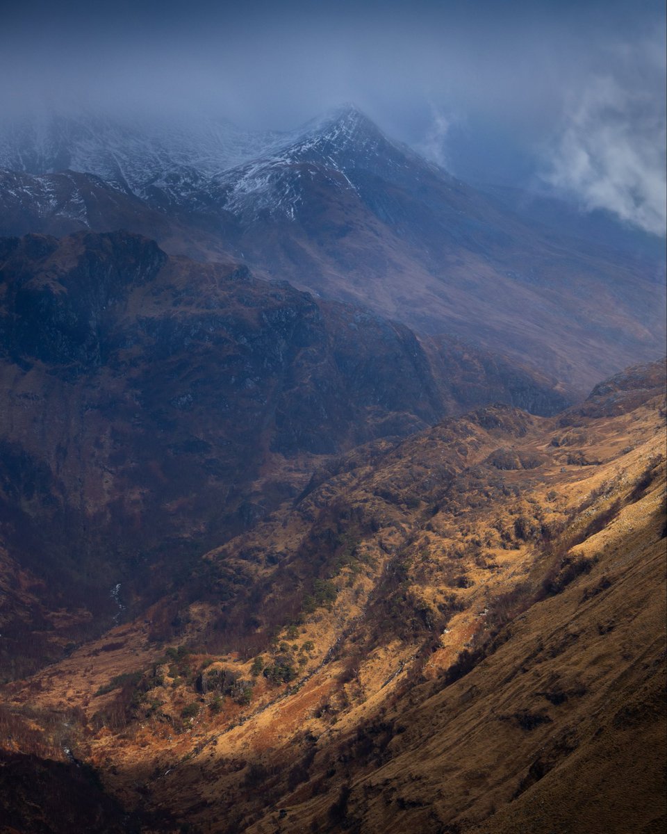 Ross Davidson Photography tweet media