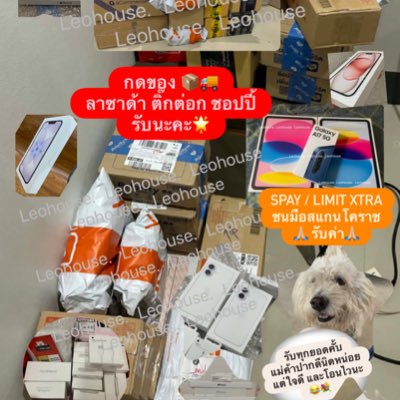 แอคสำรองร้านลีโอนะคะ🙇🏻‍♀️ tweet media